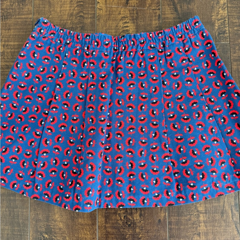 Red and Blue Patterned Skirt